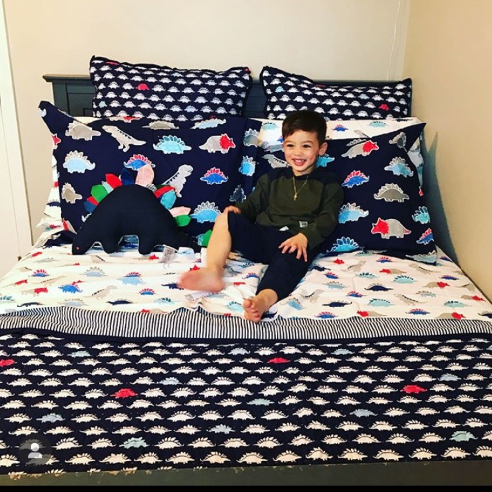 Pottery Barn Kids Dempsey DINO Bedding Collectiom